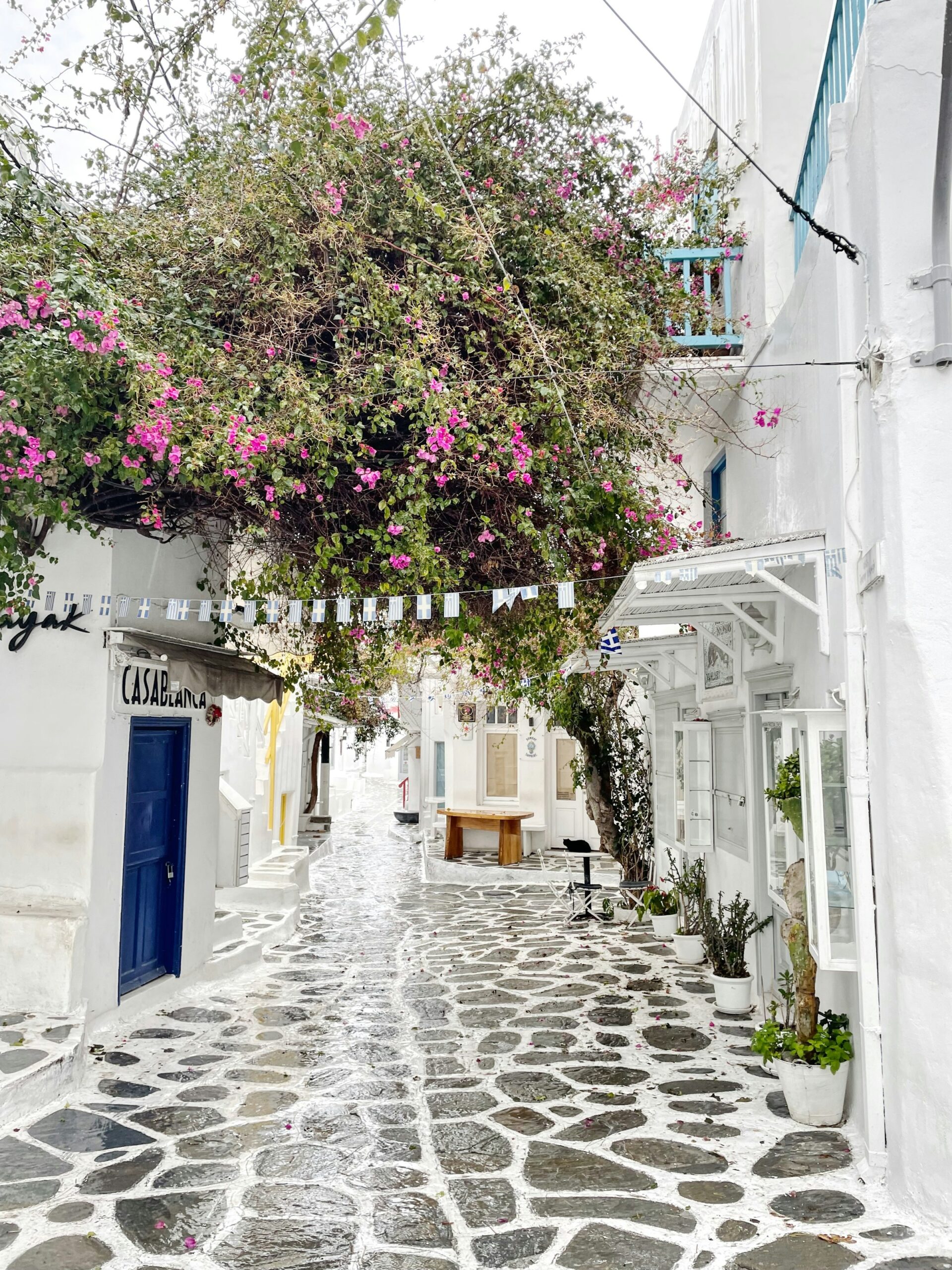 A narrow cobblestone alley lined with whitewashed buildings in Mykonos, Greece
