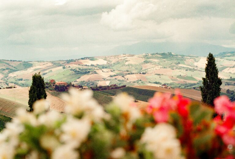 Rolling hills and cypress-lined road through the Tuscan countryside in Italy