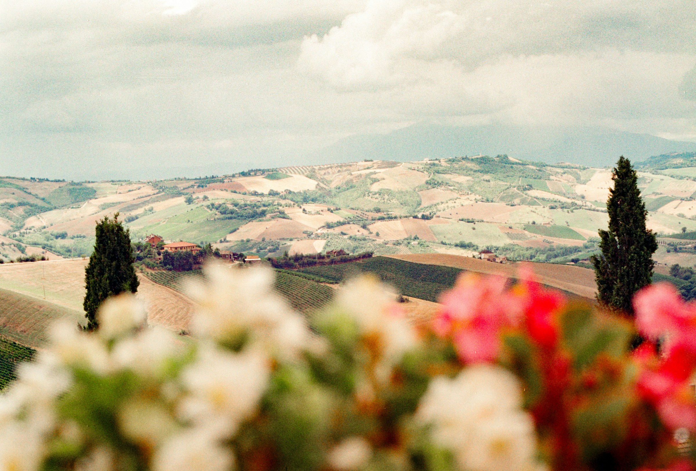 Rolling hills and cypress-lined road through the Tuscan countryside in Italy