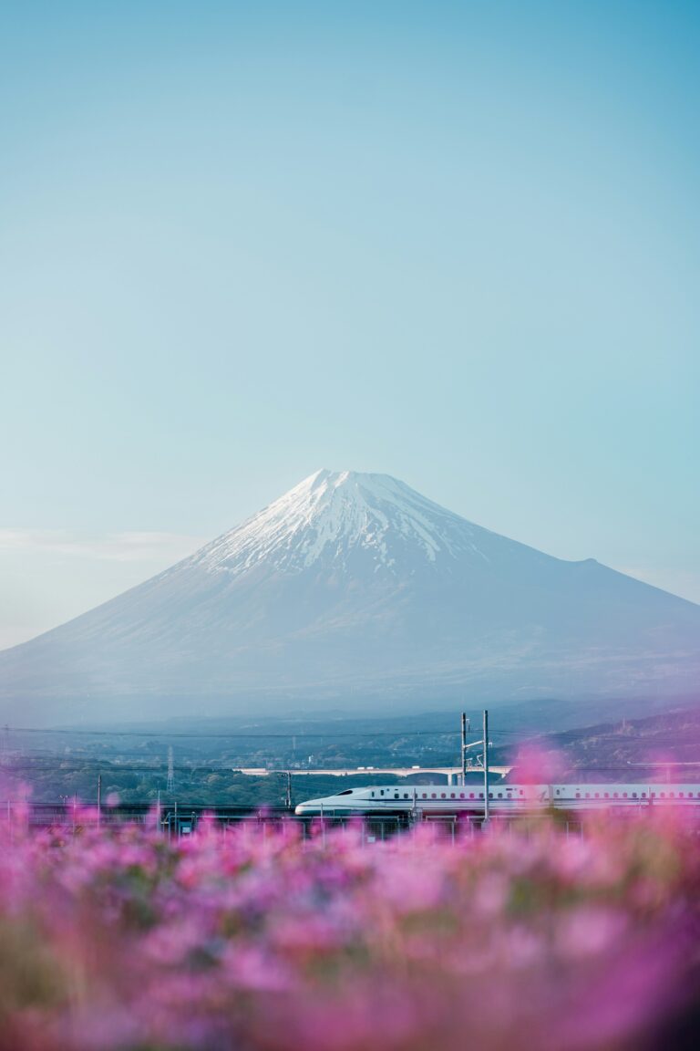 Japan's Shinkansen bullet train speeding past Mount Fuji through spring blossoms