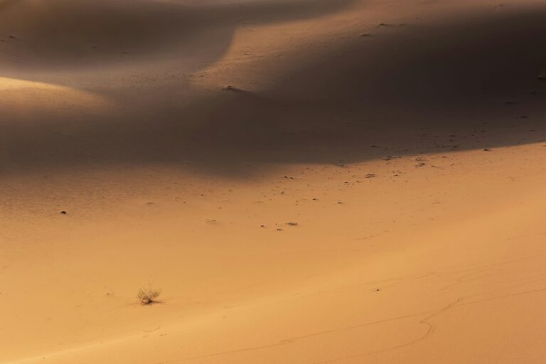 Sahara sand dunes with dramatic shadows at sunset near Merzouga, Morocco