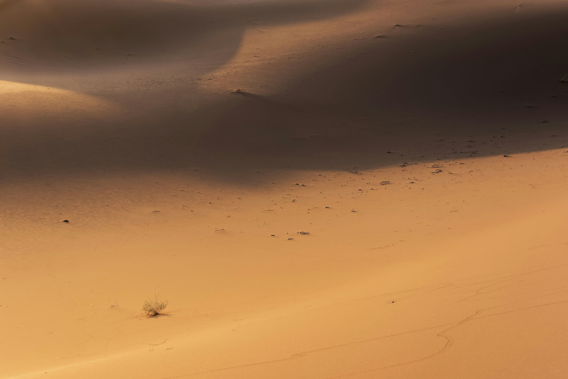 Sahara sand dunes with dramatic shadows at sunset near Merzouga, Morocco