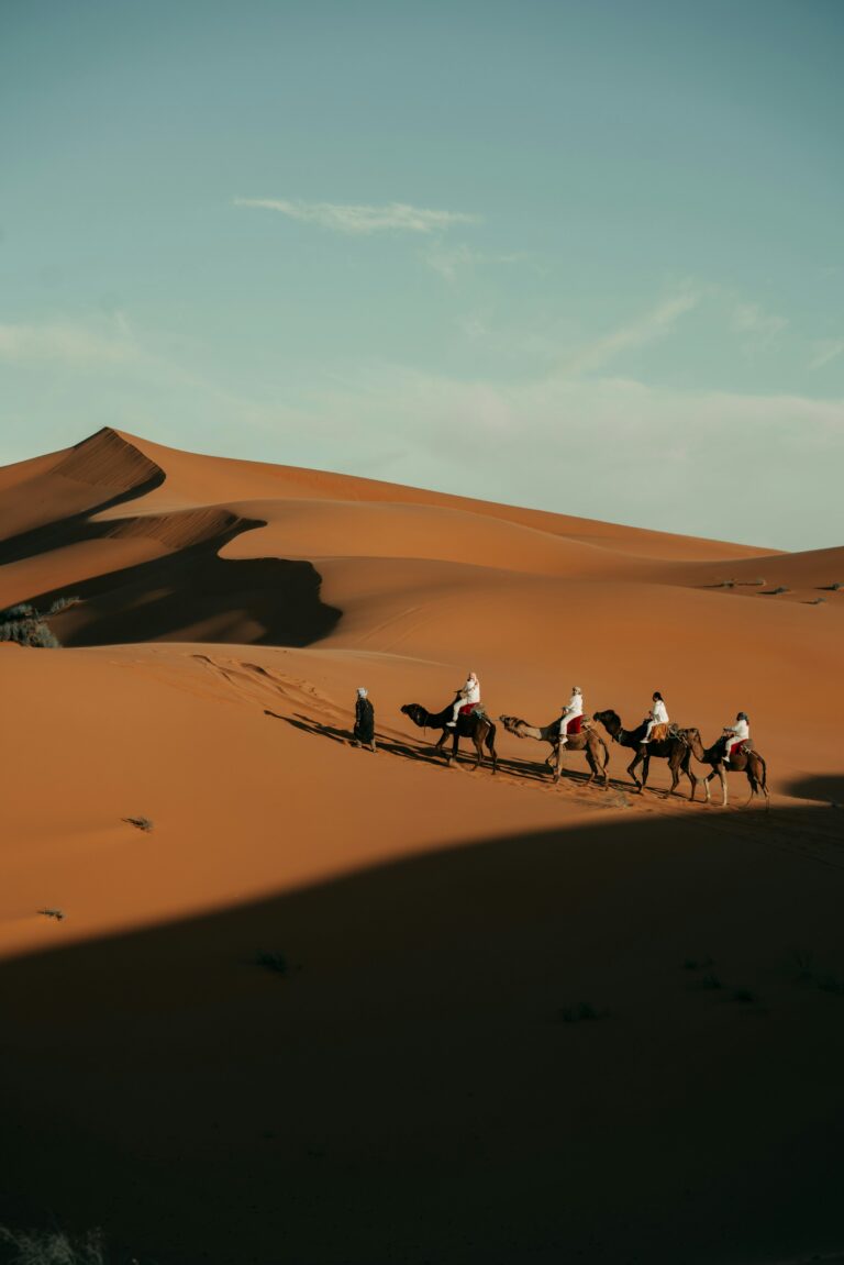 Riders on camels crossing vast Sahara sand dunes in Morocco