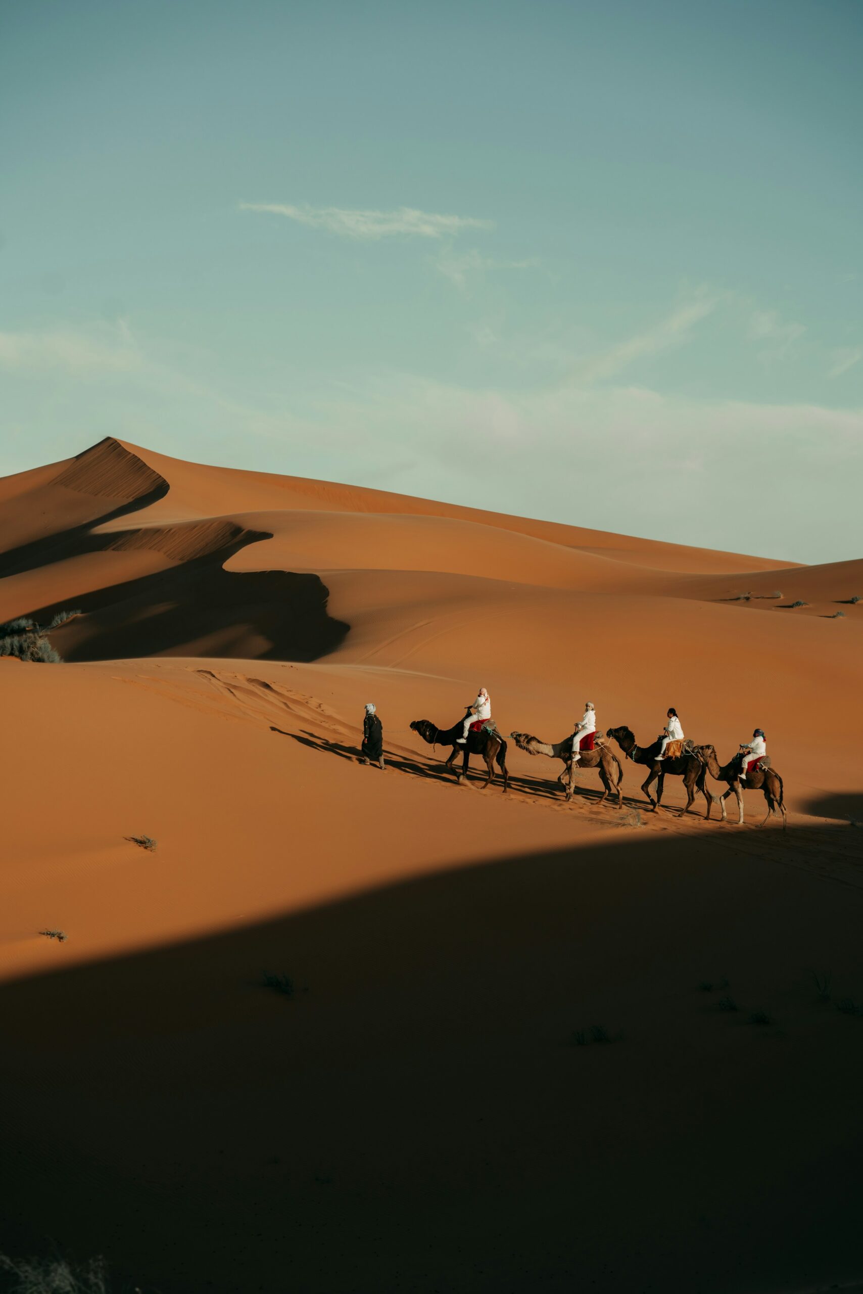 Riders on camels crossing vast Sahara sand dunes in Morocco