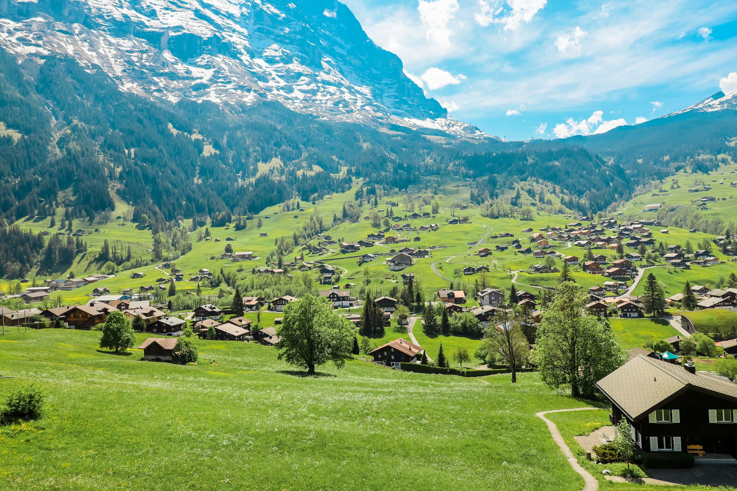 A green alpine meadow with mountains in the background near Grindelwald, Switzerland