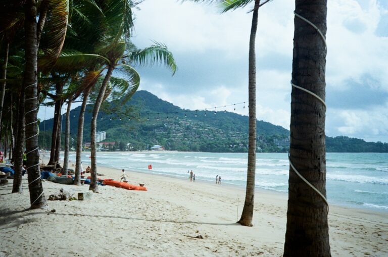 A palm-lined tropical beach with visitors in Phuket, Thailand