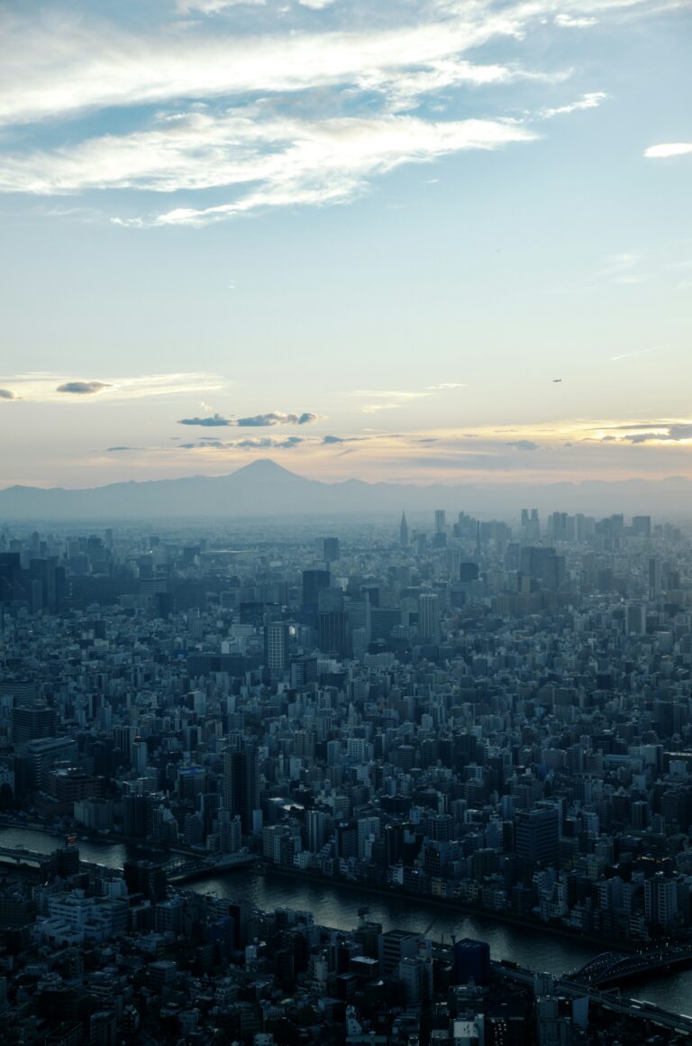 Tokyo's dense skyline stretching toward Mount Fuji in the distance on a clear day