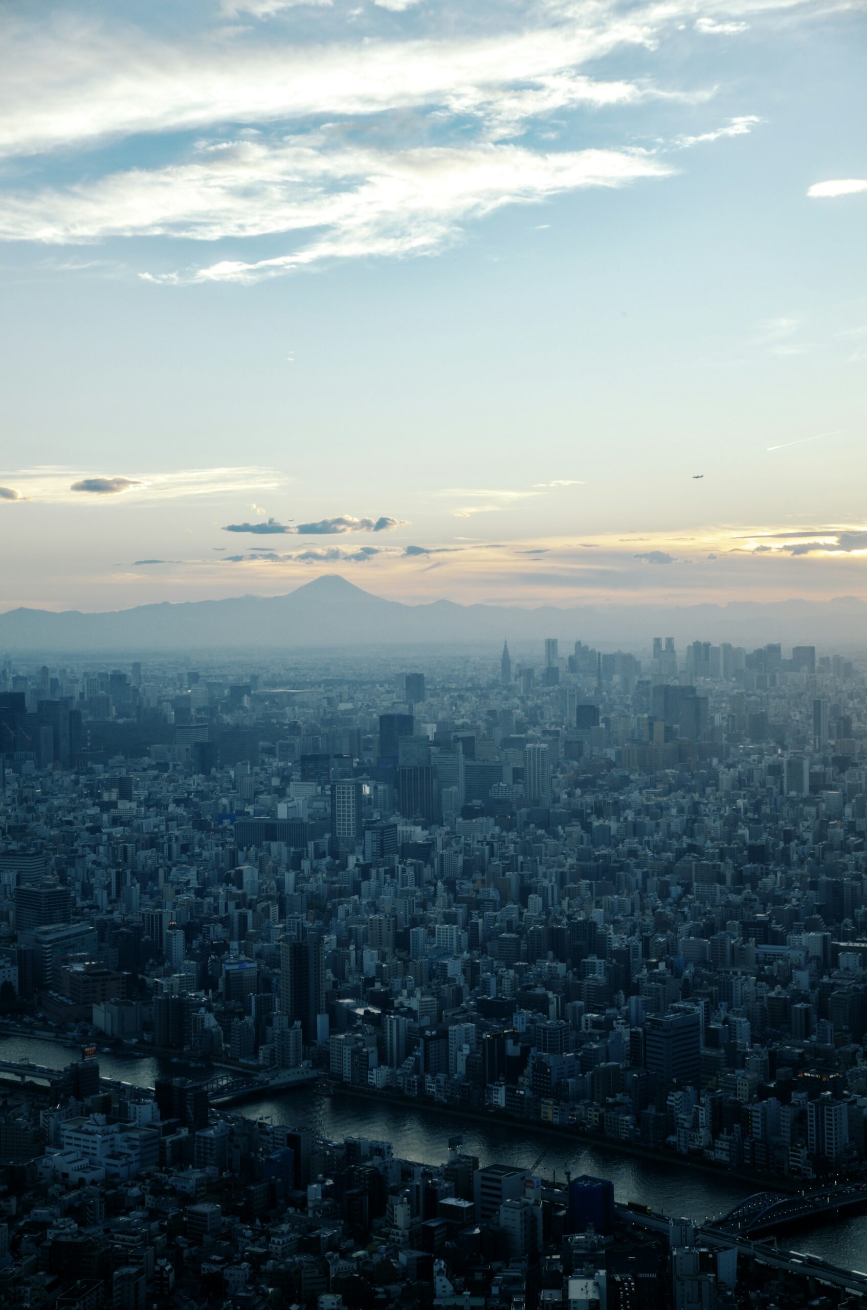 Tokyo's dense skyline stretching toward Mount Fuji in the distance on a clear day