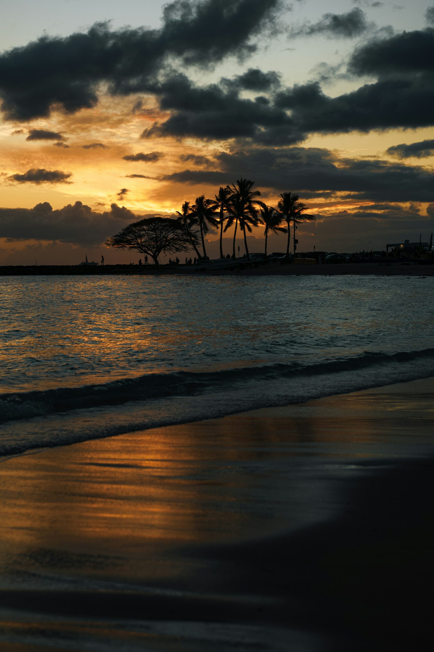 Palm trees silhouetted against a colorful sunset at Waikiki Beach, Honolulu, Hawaii